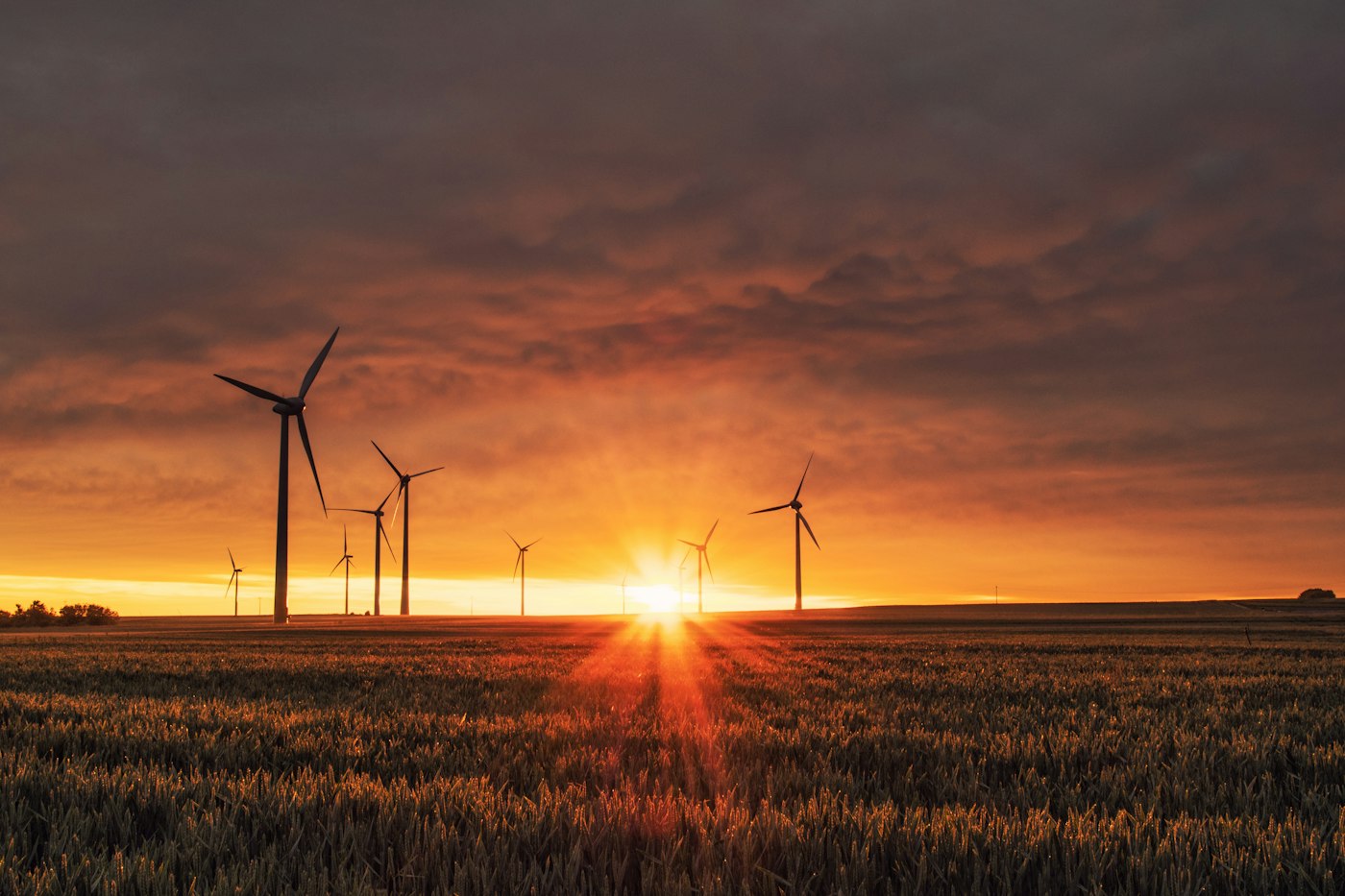 Renewable energy and future-focused infrastructure