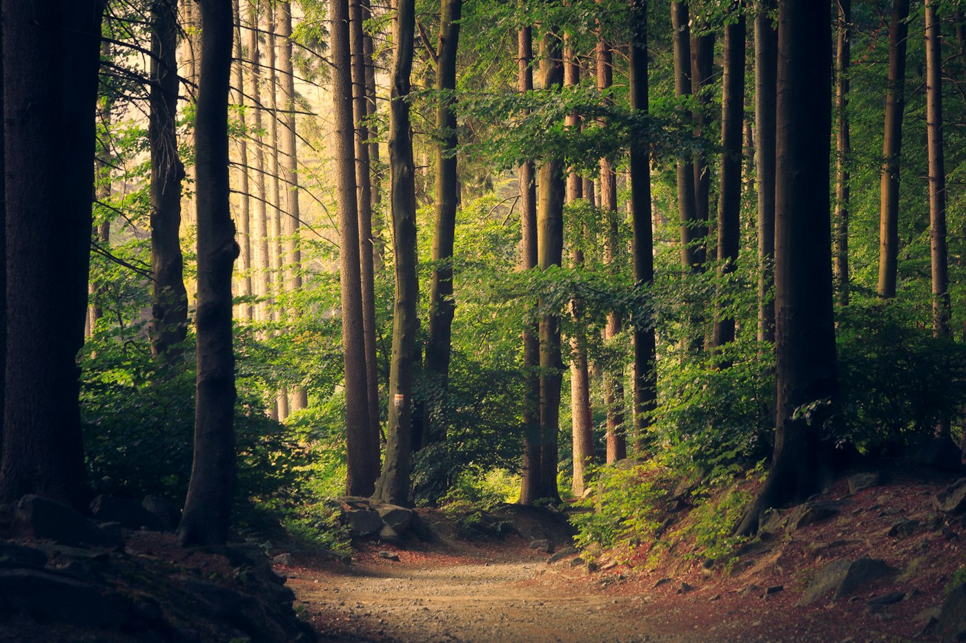 Nature and environmental balance